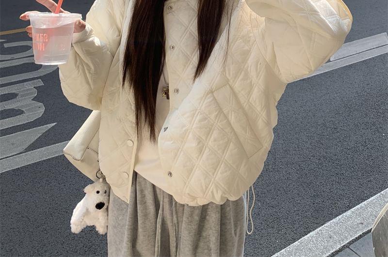 Plain Quilted Single-Breasted Jacket Product Image