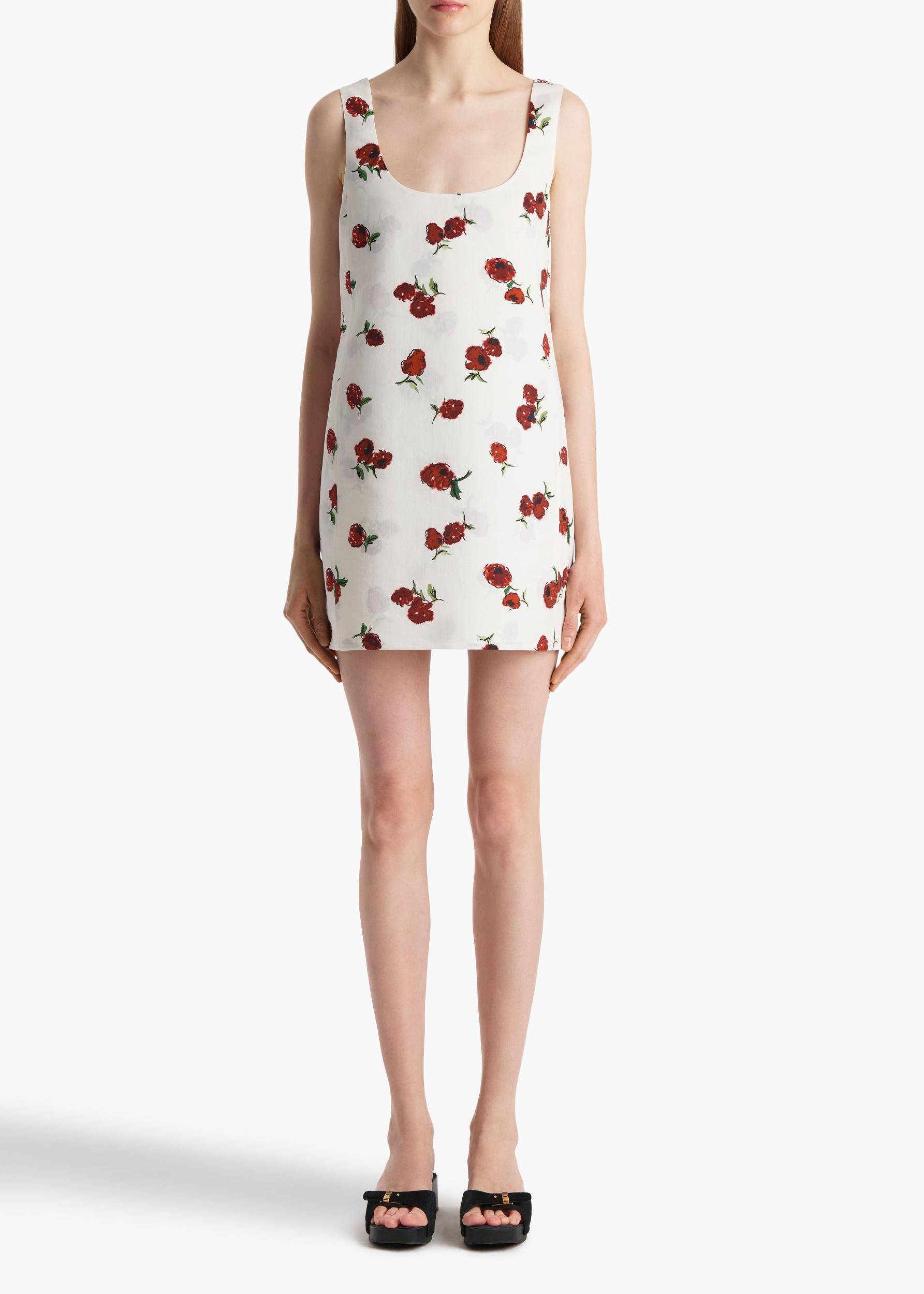 Pranta Dress in Cream with Raspberry Print Product Image