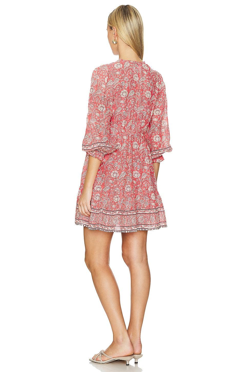Mary Mini Dress Velvet by Graham & Spencer Product Image