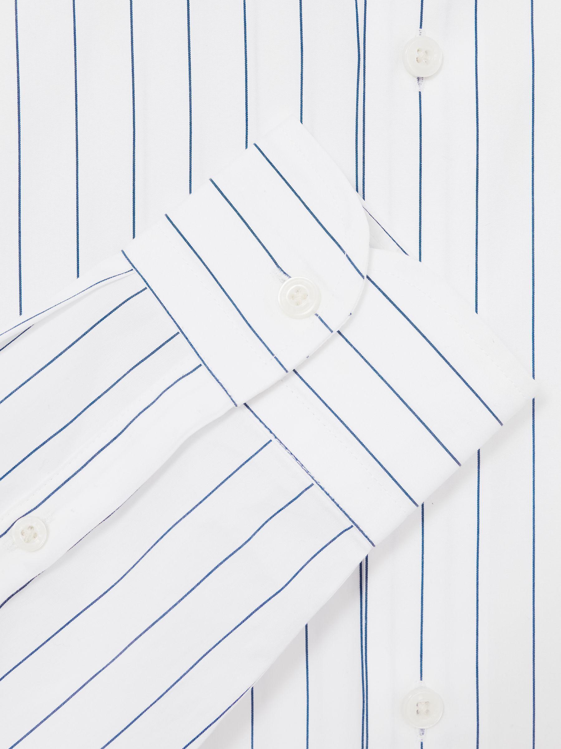 Cotton Cutaway-Collar Stripe Shirt in Blue/White Product Image