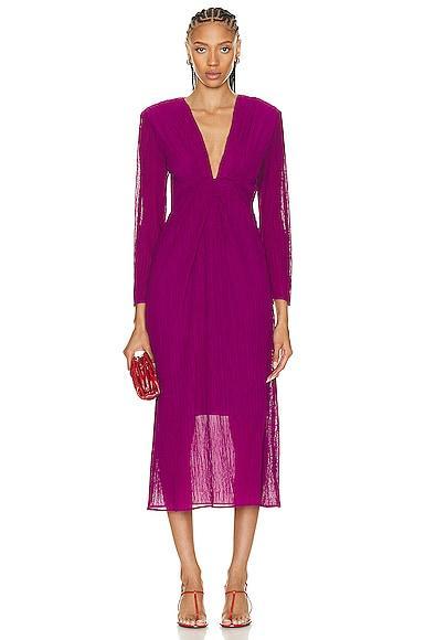 IRO Alofi Dress in Wine Product Image