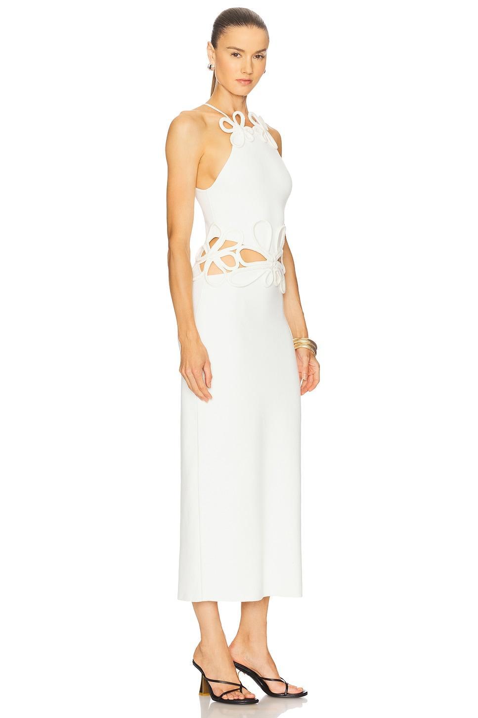 Jena Knit Dress Cult Gaia Product Image