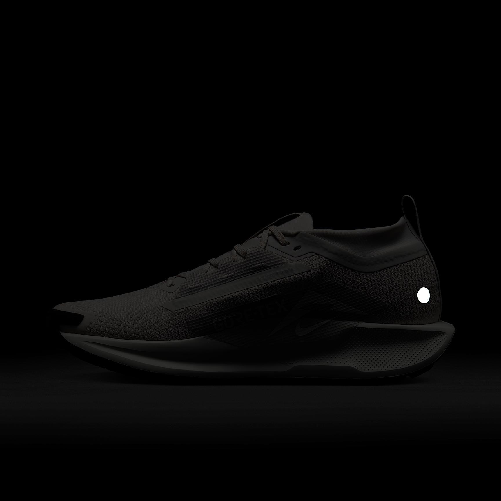 Nike Men's Pegasus Trail 5 GORE-TEX Waterproof Trail Running Shoes Product Image