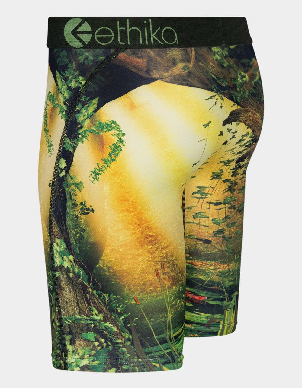 ETHIKA Bomber Petra Staple Mens Boxer Briefs Product Image