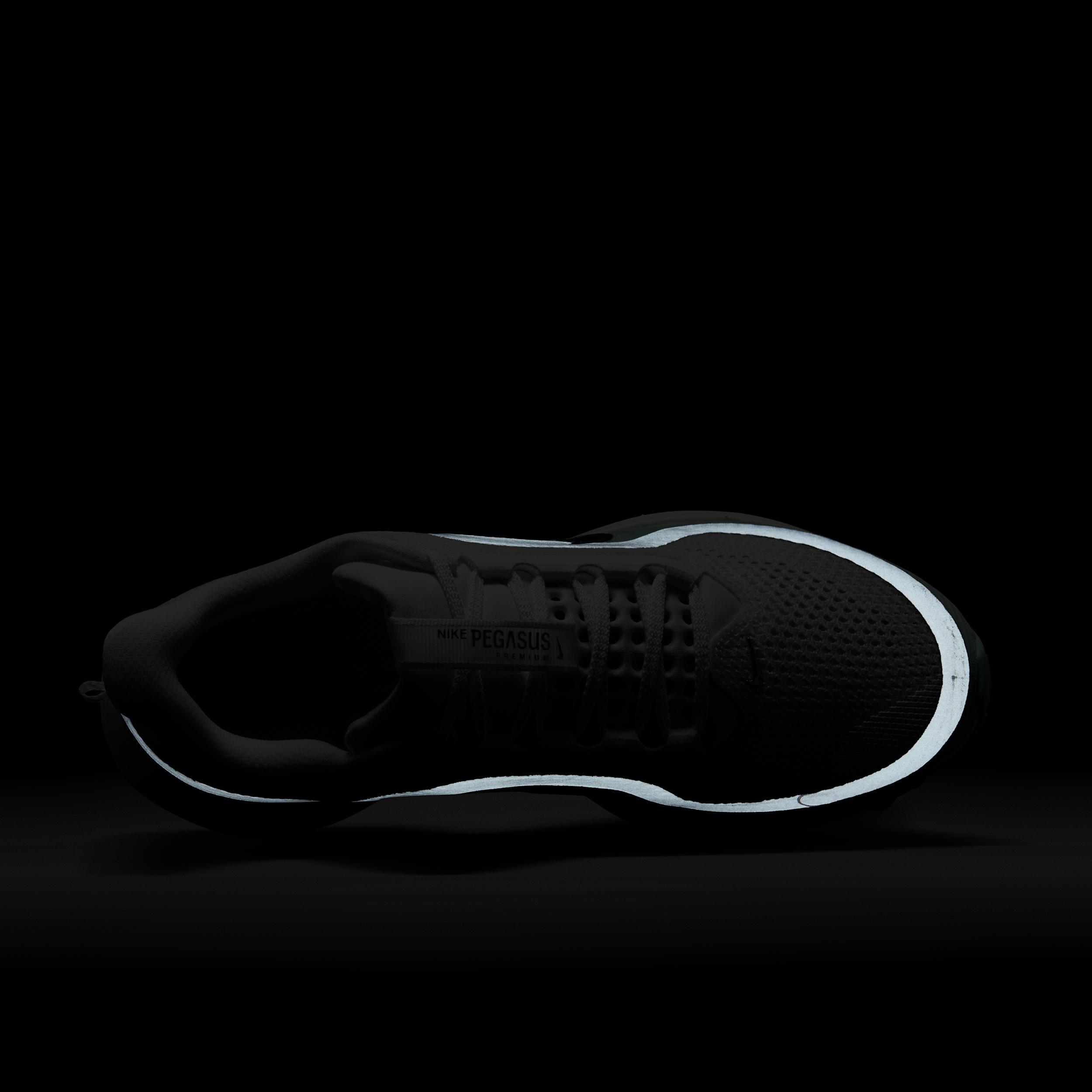 Nike Women's Pegasus Premium Road Running Shoes Product Image