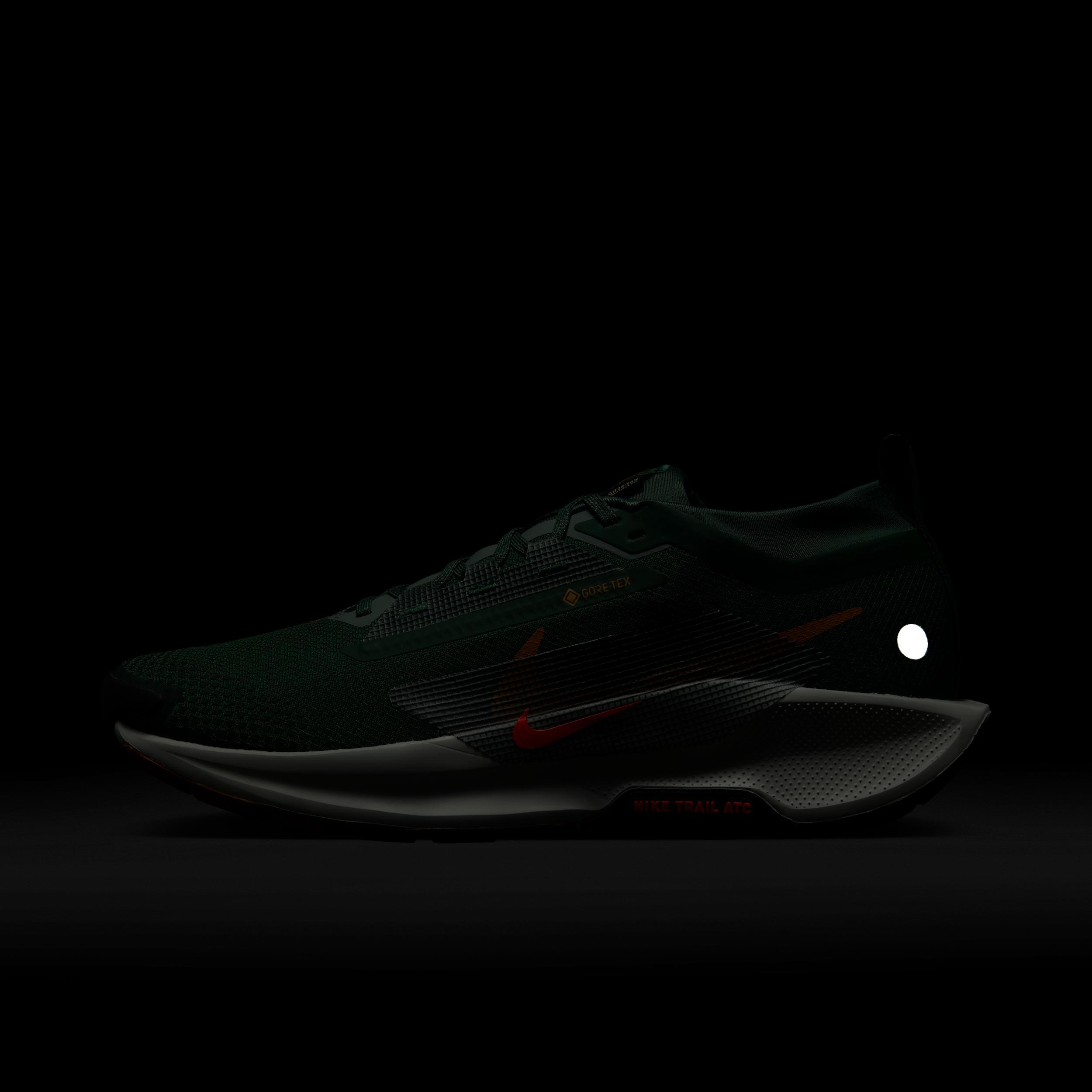 Nike Men's Pegasus Trail 5 GORE-TEX Waterproof Trail Running Shoes Product Image