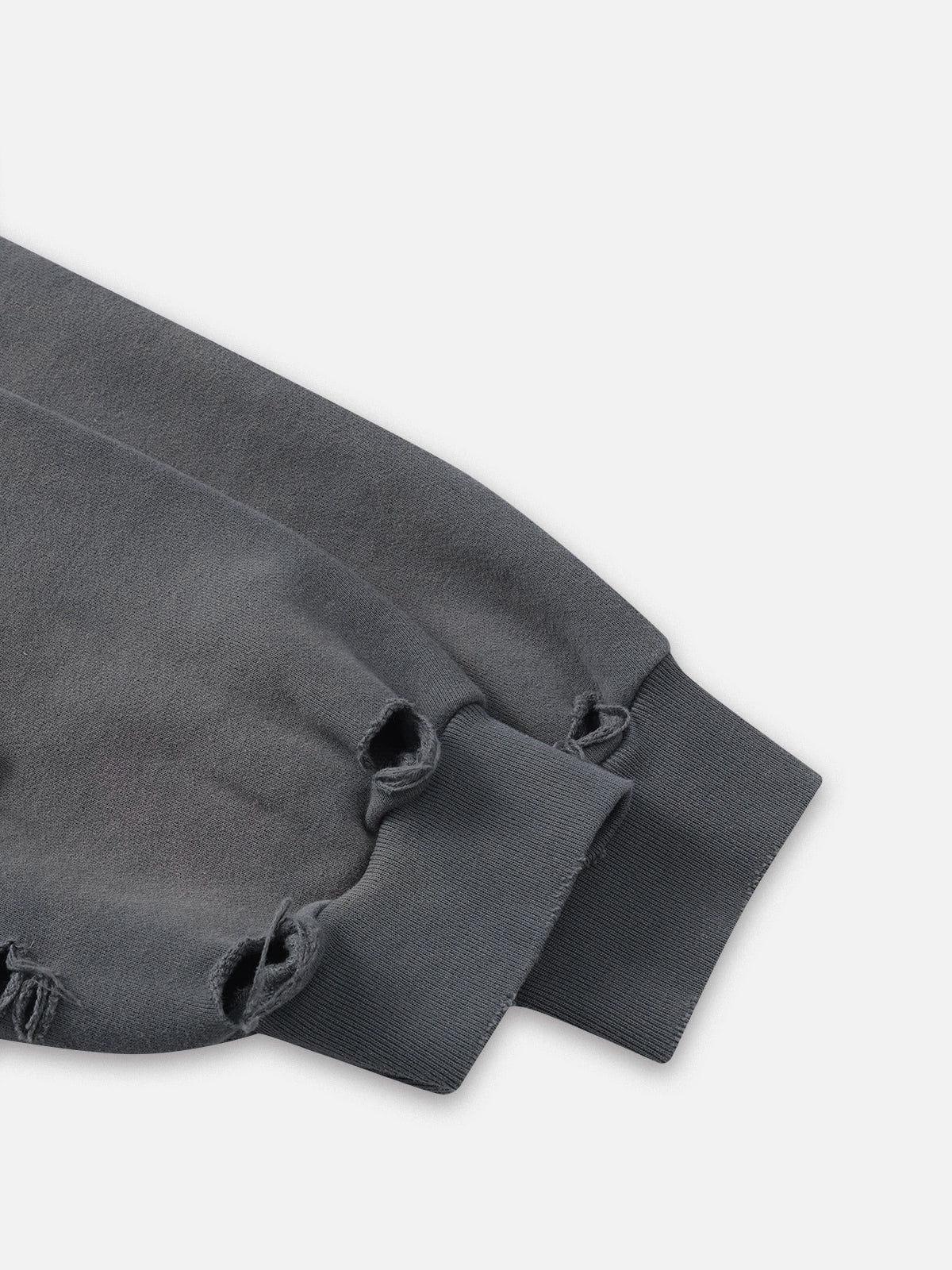 Aelfric Eden Distressed Zip Up Hoodie Product Image