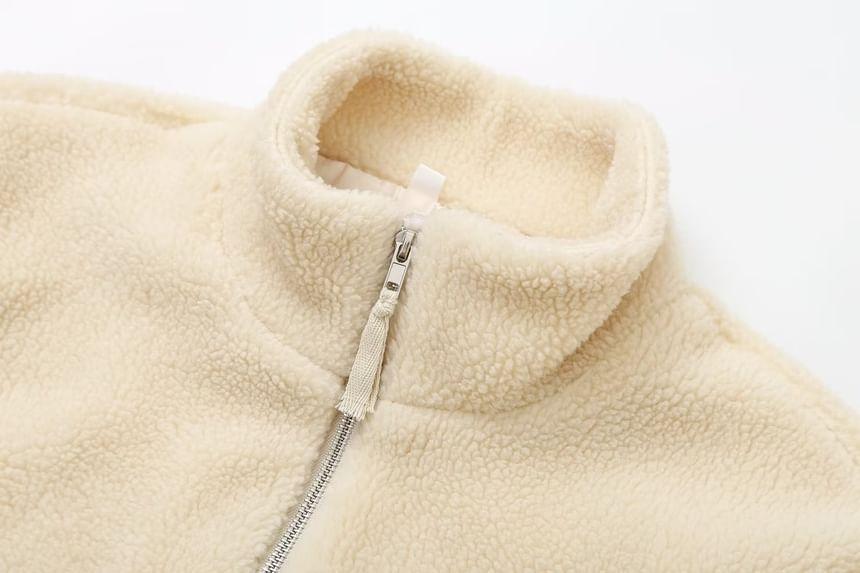 Stand Collar Plain Fleece Zip Jacket Product Image