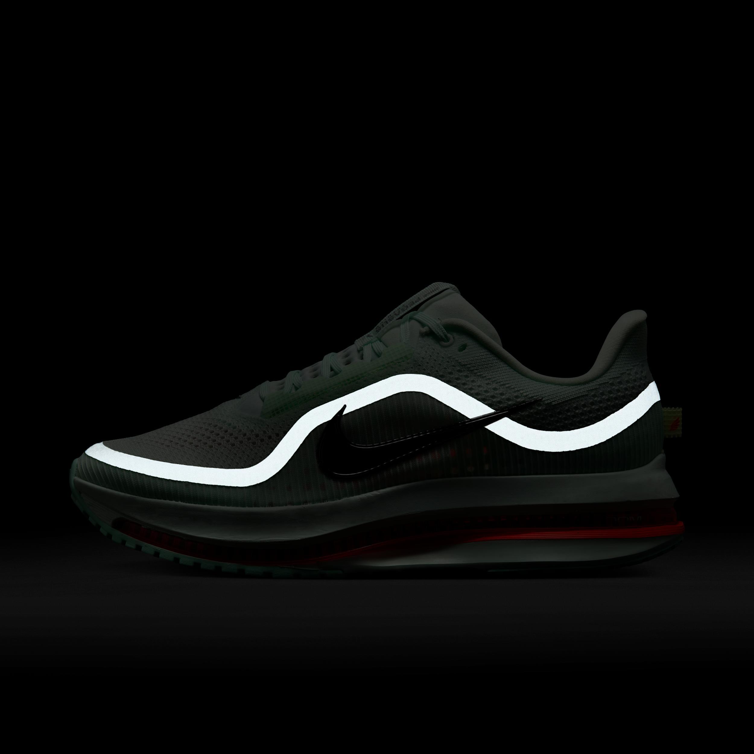 Nike Pegasus Premium Men's Road Running Shoes Product Image