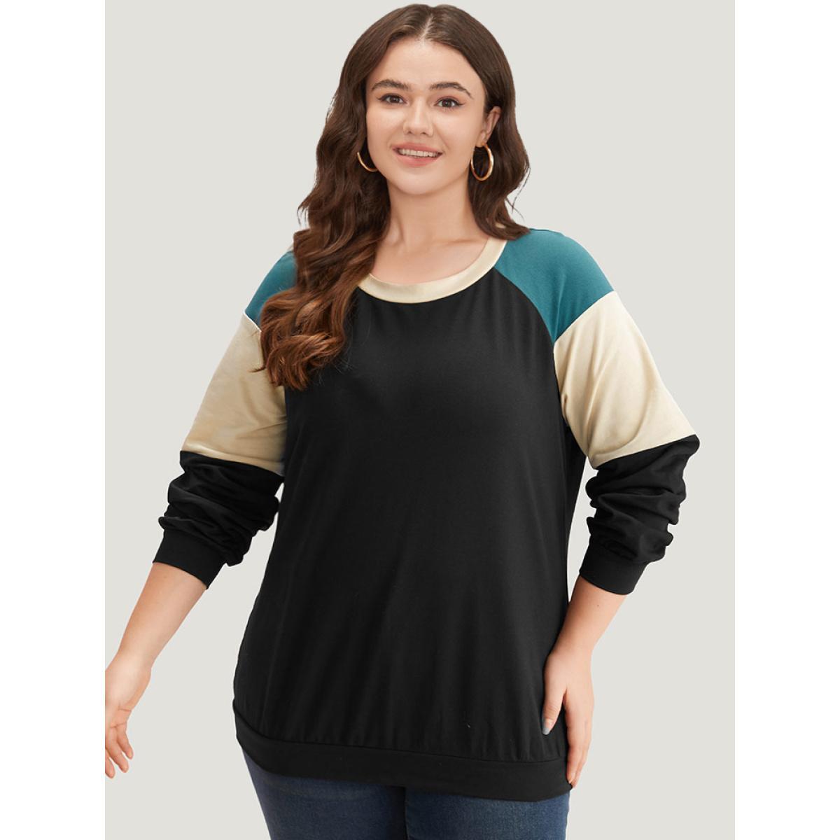 Plus Size Colorblock Contrast Raglan Sleeve Sweatshirt Women Black Casual Elastic cuffs Round Neck Dailywear Sweatshirts BloomChic 22-24/3X Product Image