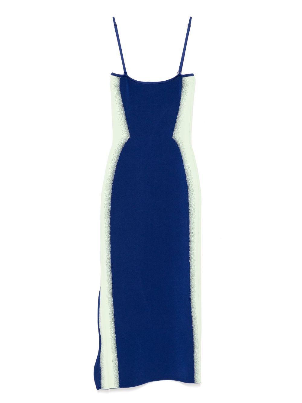 Iris flower print tank dress Product Image