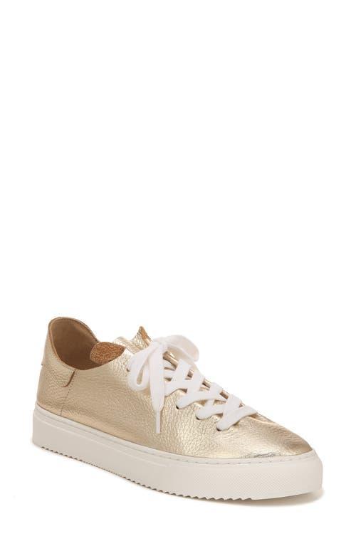 Sam Edelman Poppy Lace-Up Sneaker Leather Product Image