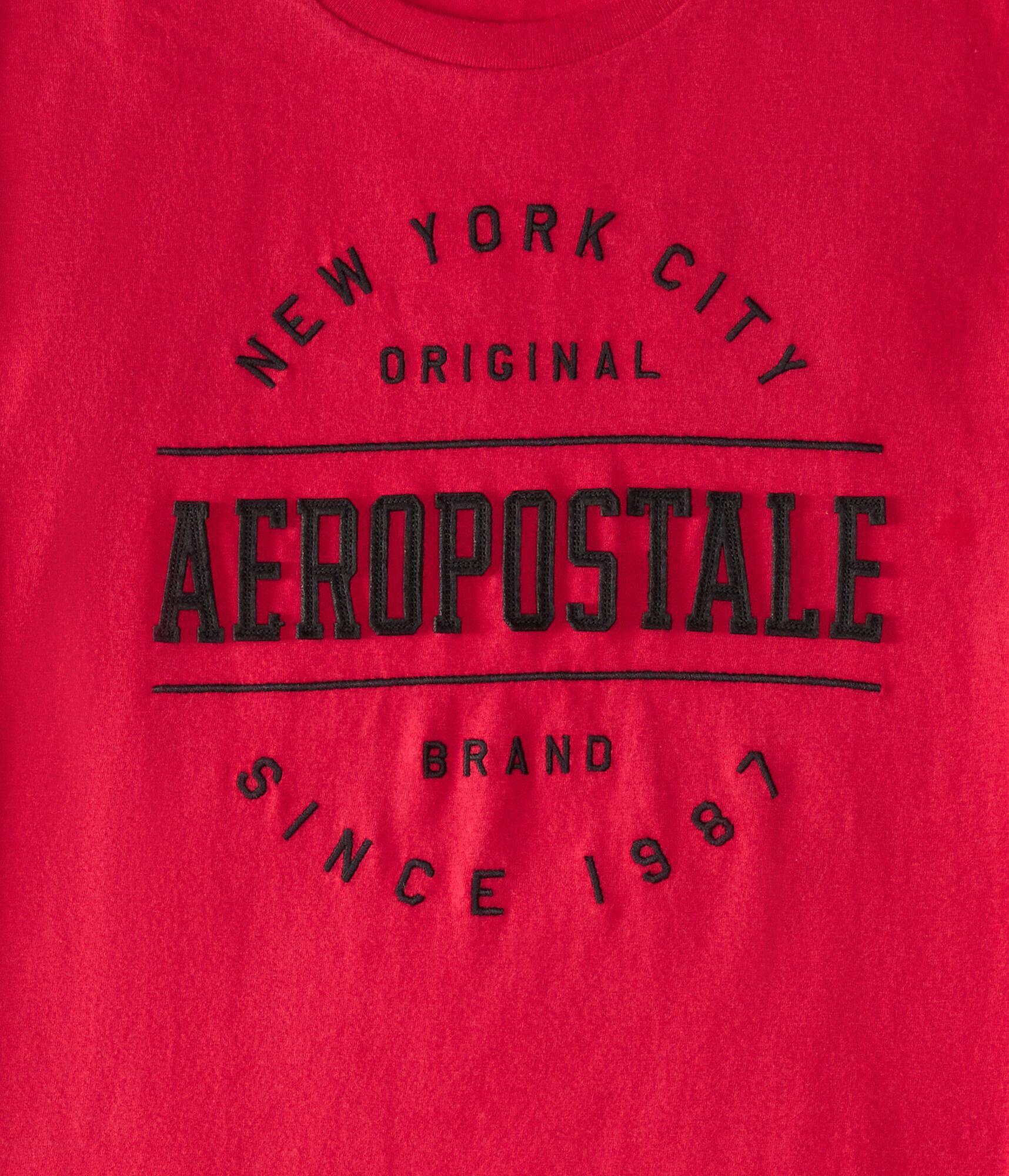 Aeropostale NYC Circle Appliqué Graphic Tee Product Image
