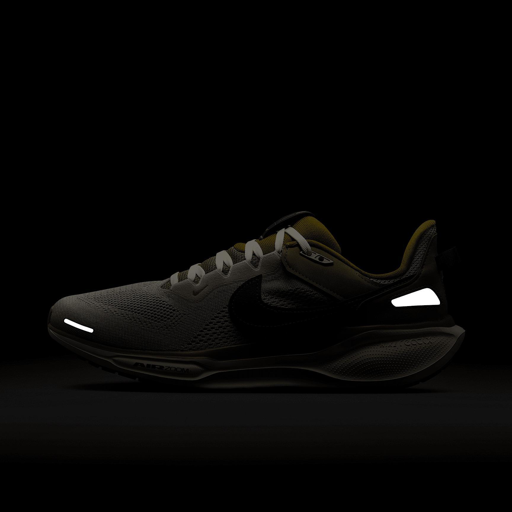 Nike Air Zoom Pegasus 41 SP Men's Shoes Product Image