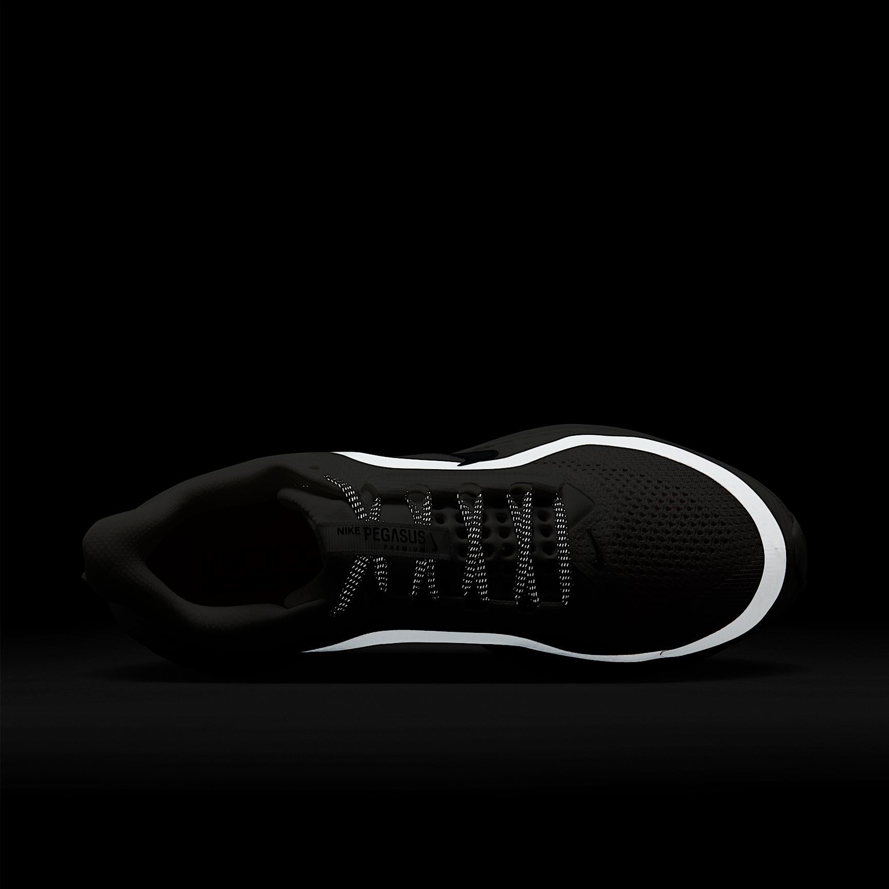 Nike Pegasus Premium Men's Road Running Shoes Product Image