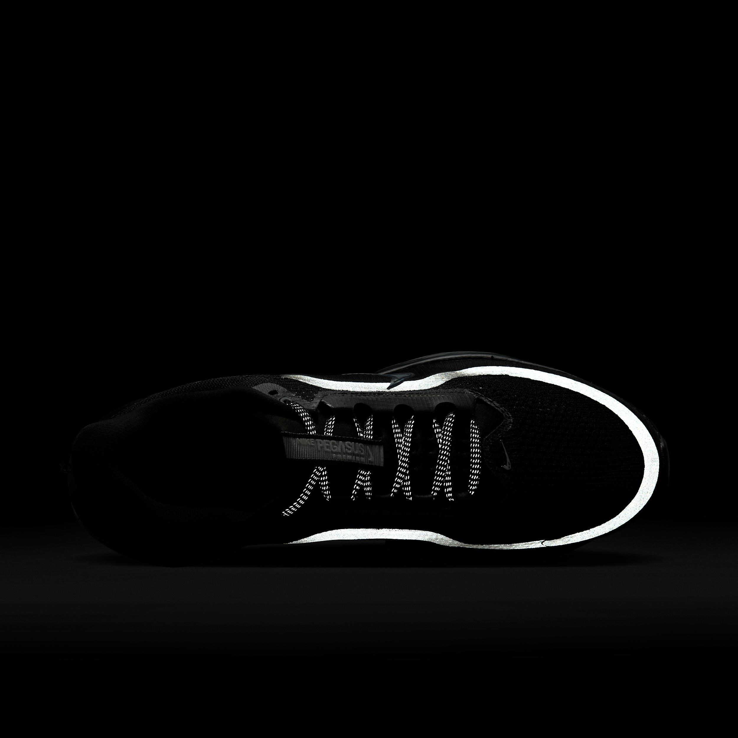 Nike Pegasus Premium Men's Road Running Shoes Product Image