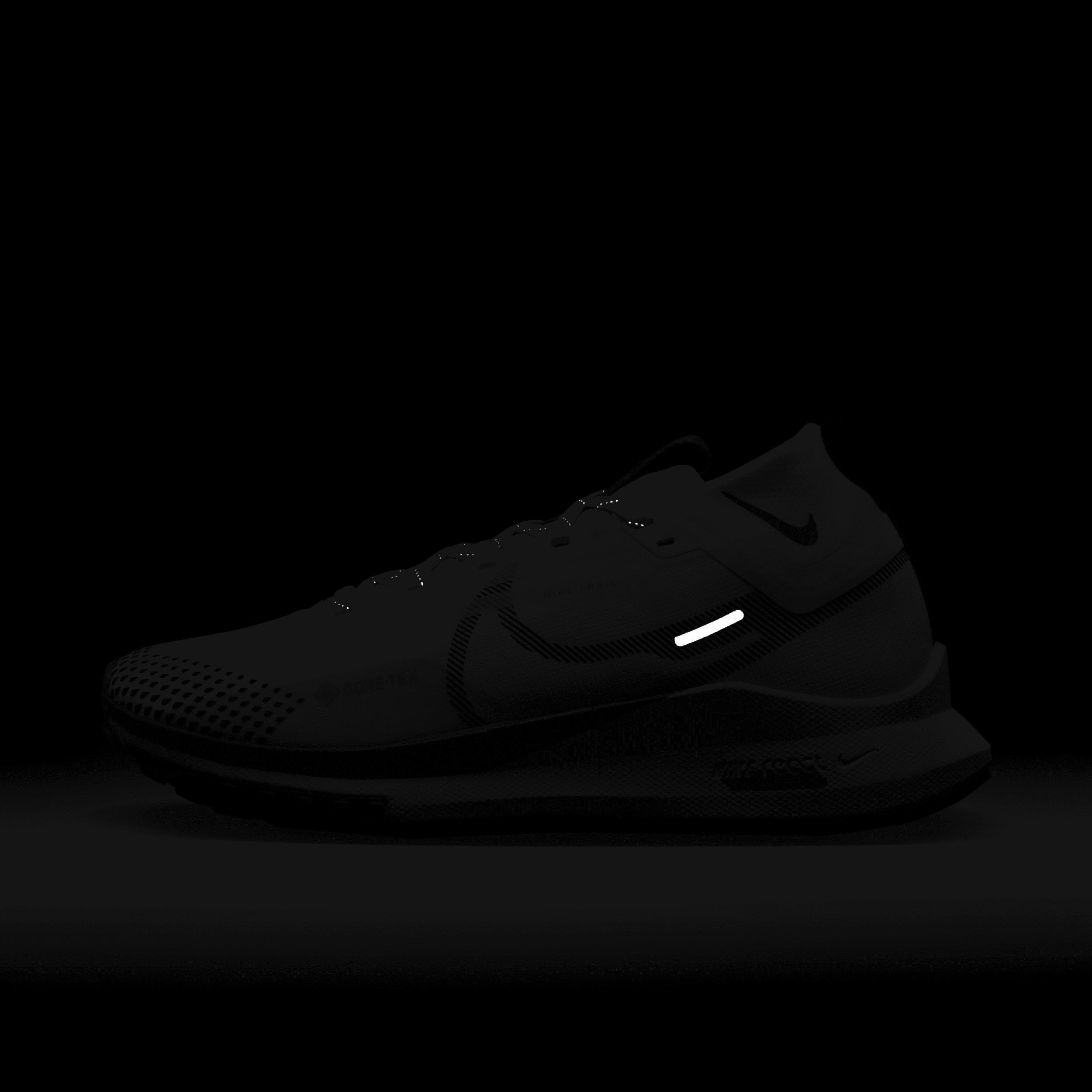 Nike Pegasus Trail 4 GORE-TEX Women's Waterproof Trail Running Shoes Product Image
