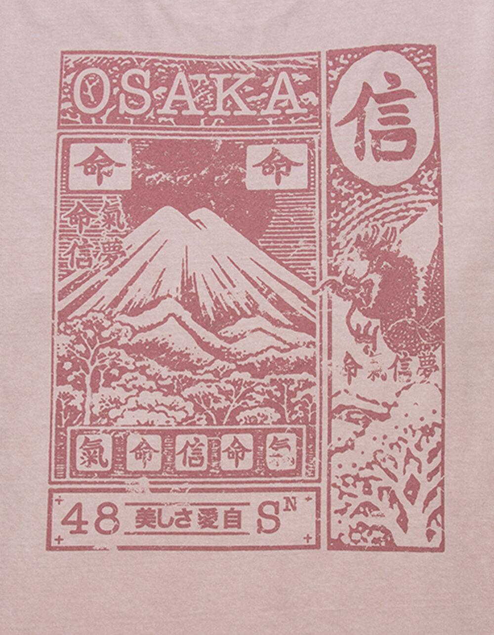 BDG Urban Outfitters Osaka Mountain Mens Tee - PINK Product Image