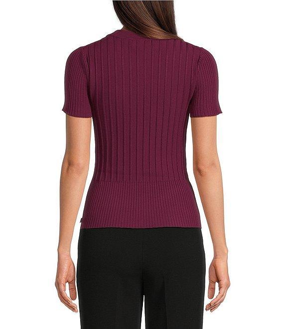 KARL LAGERFELD PARIS Knit Round Neck Short Sleeve Top Product Image