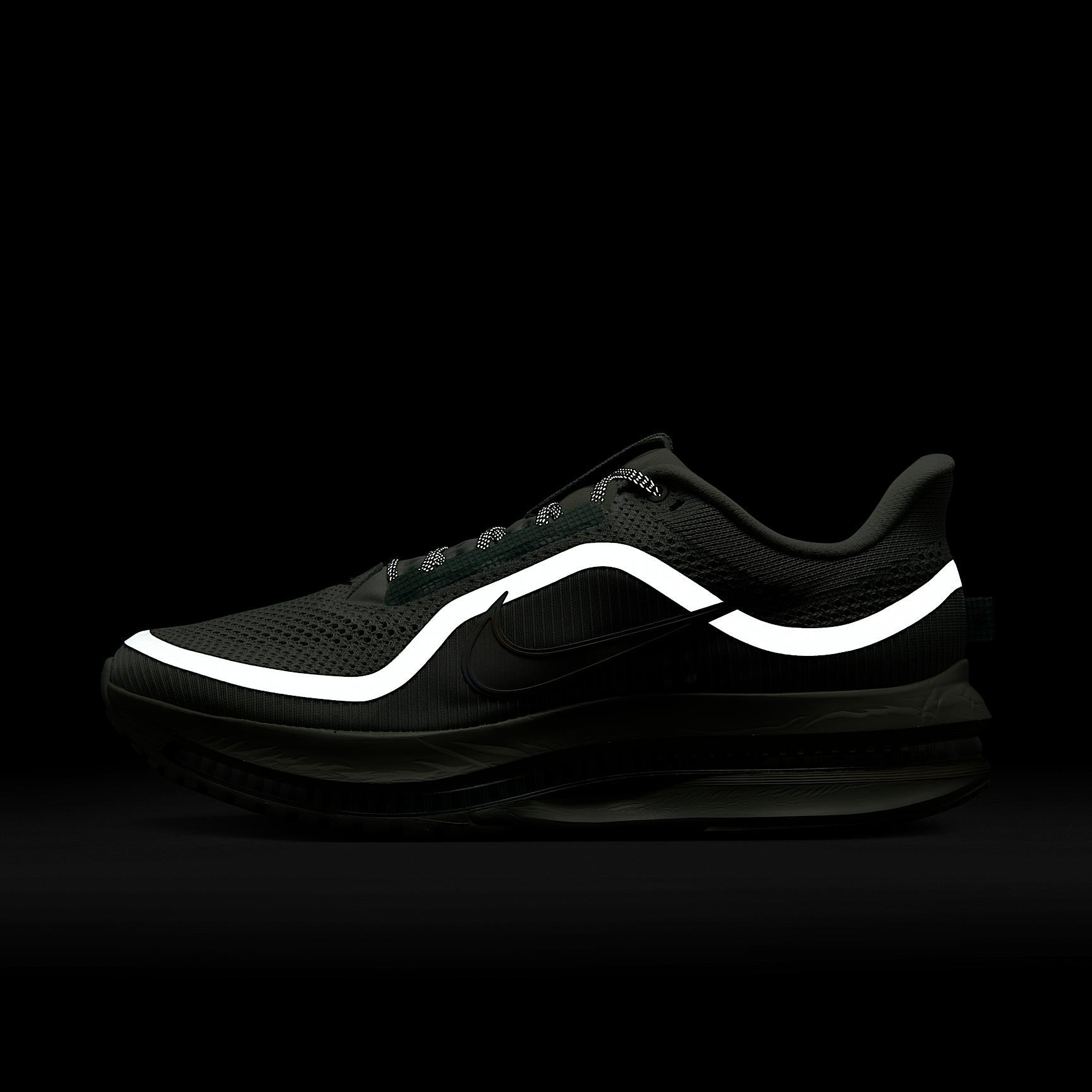 Nike Pegasus Premium Men's Road Running Shoes Product Image