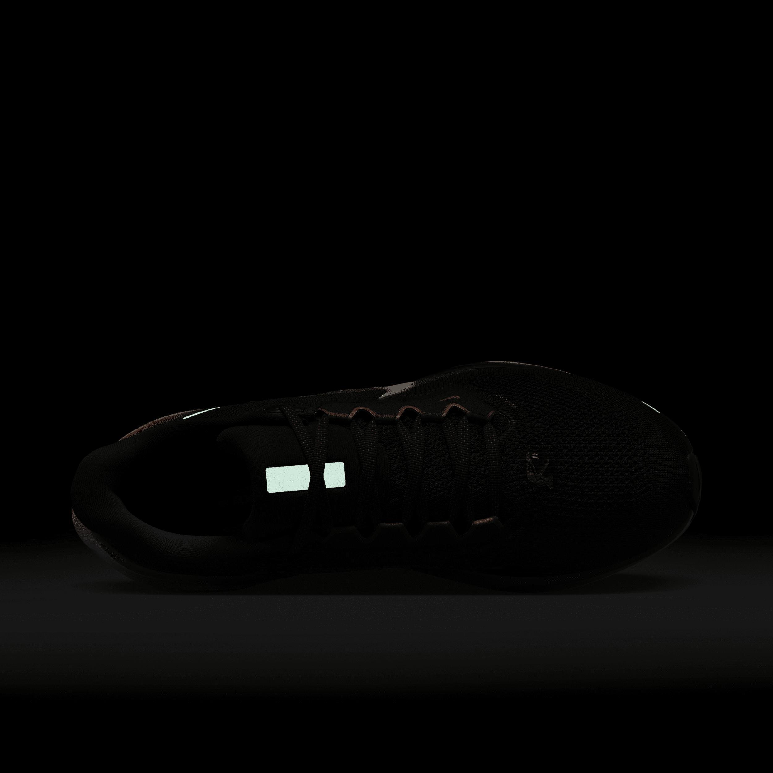 FAMU Pegasus 41 Nike Men's College Road Running Shoes Product Image