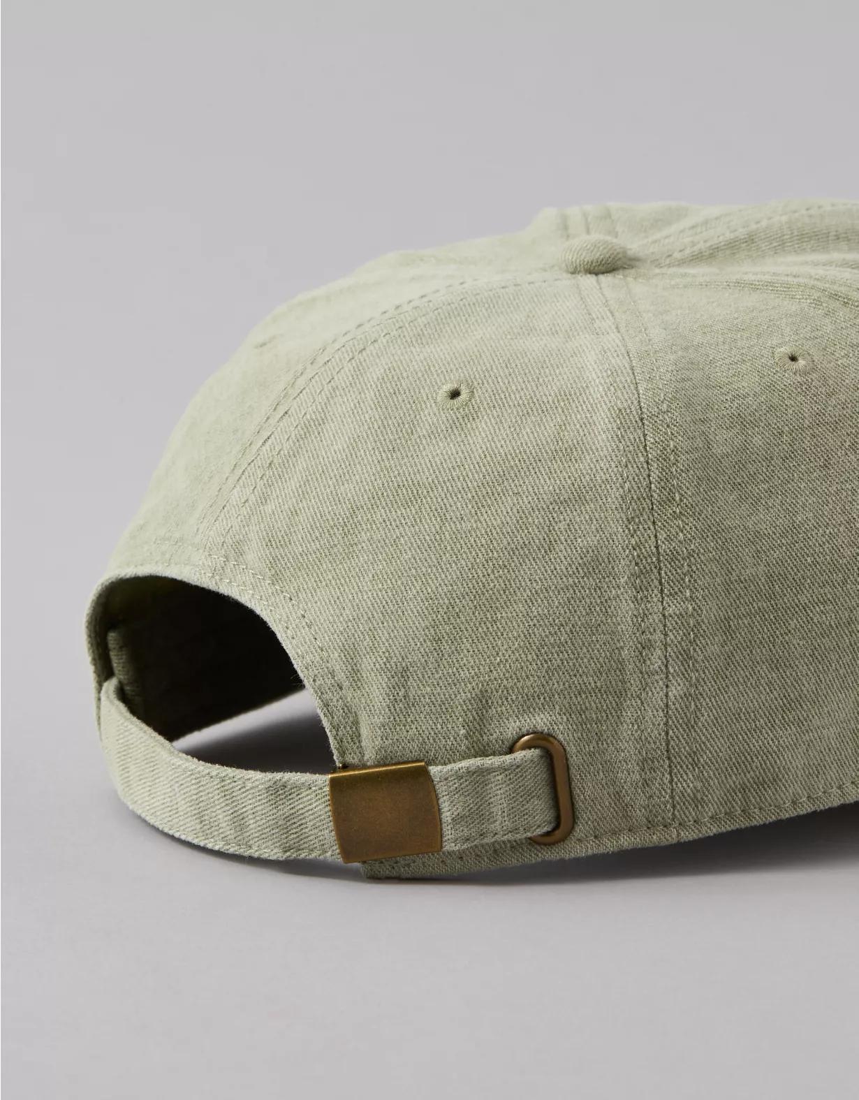 AE Logo Baseball Hat Product Image
