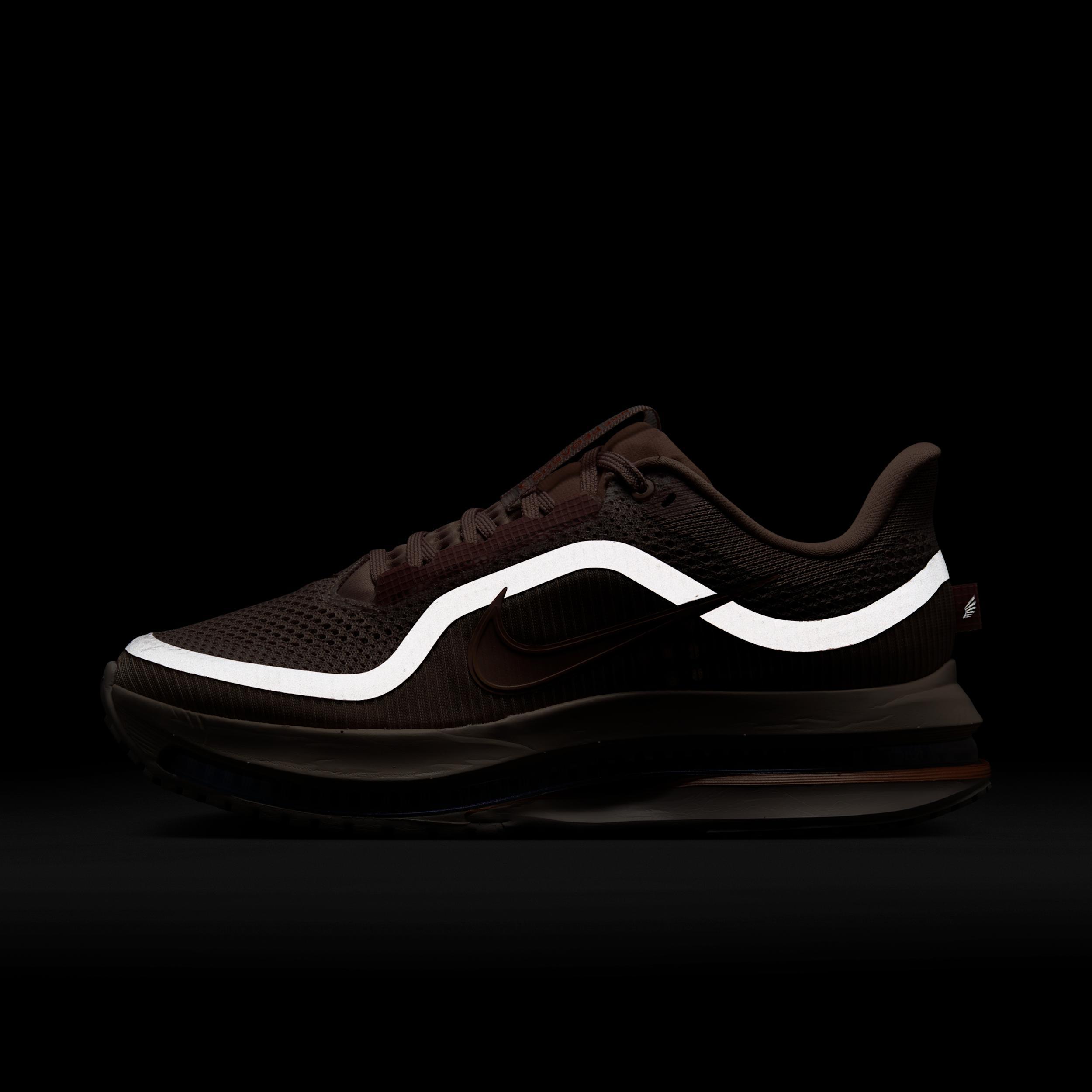 Nike Women's Pegasus Premium Road Running Shoes Product Image