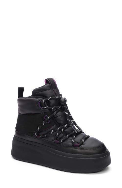 Ash Womens Montana Lace Up High Top Sneakers Product Image