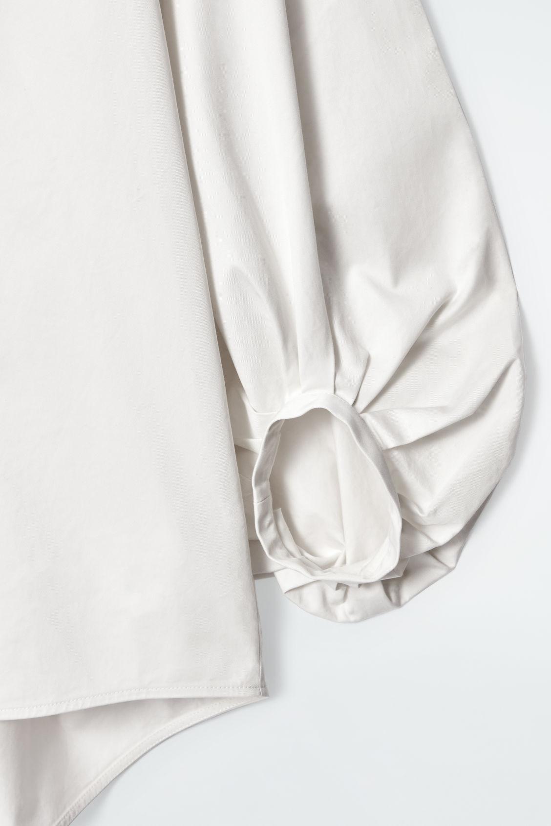 BALLOON-SLEEVE BLOUSE Product Image
