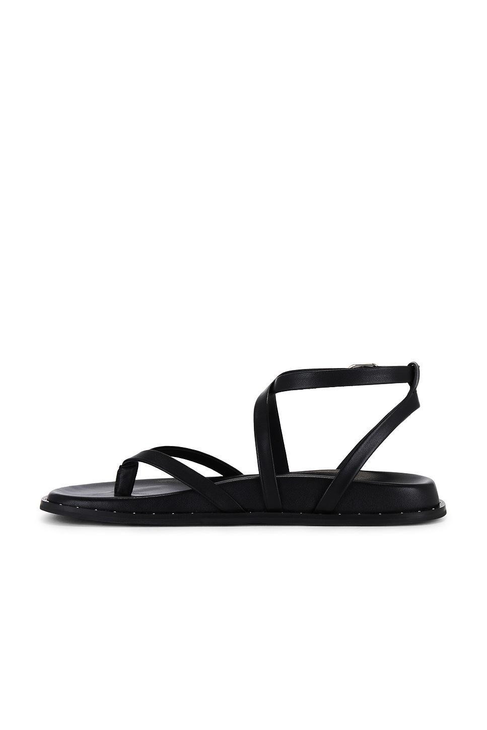 Zana Sandal PAIGE Product Image