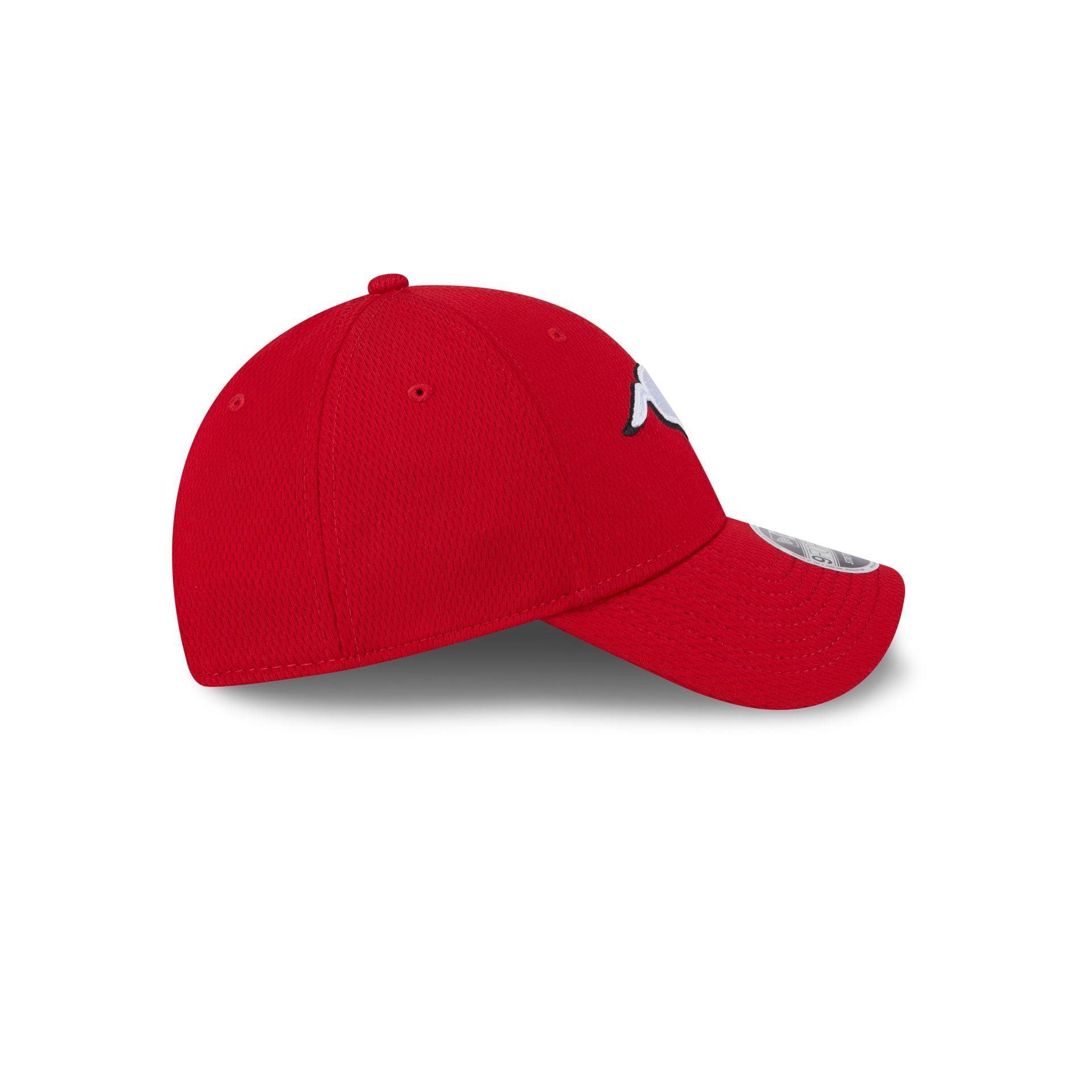 Angry Beavers 39THIRTY Stretch Fit Hat Male Product Image