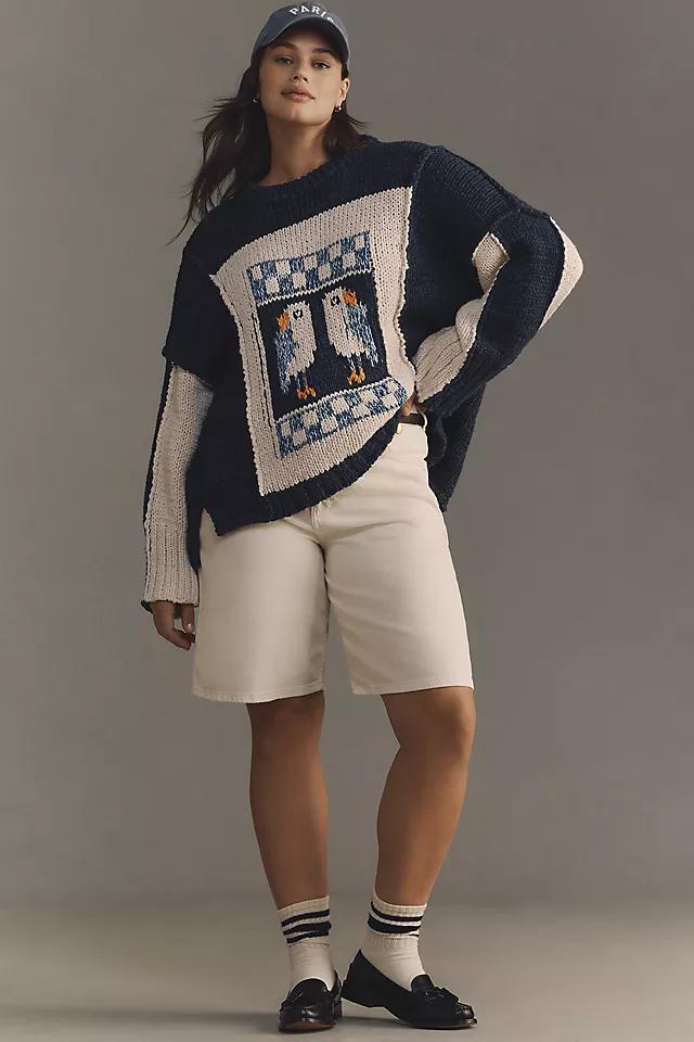 Pilcro Chunky Crew-Neck Sweater Product Image