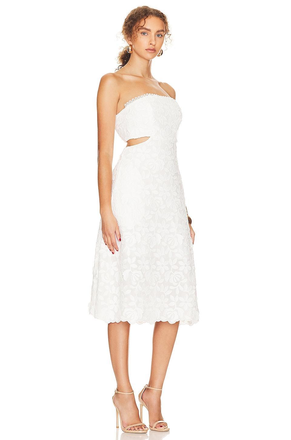Amor Meu Dress Waimari Product Image