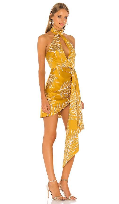 Antonia Mini Dress Camila Coelho Product Image