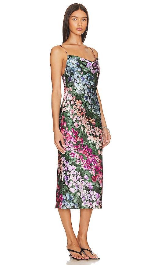 Rose Stripe Long Cowl Slip Dress Product Image