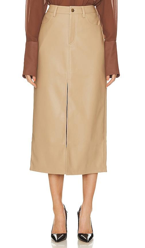 Avani Faux Leather Skirt Product Image
