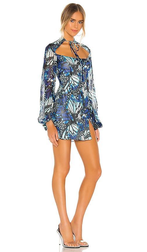 Butterfly Print Mini Dress Kim Shui Product Image