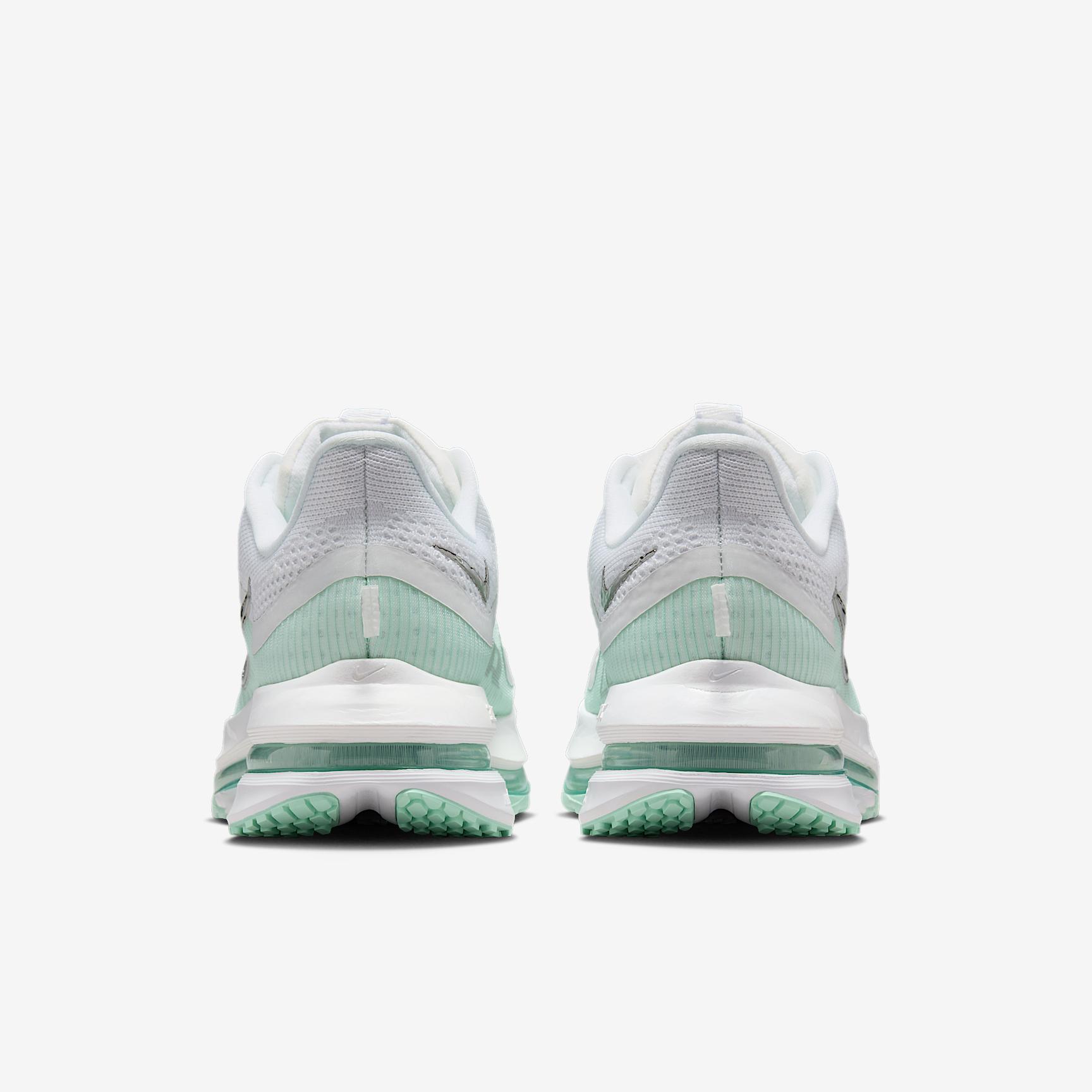 Nike Women's Pegasus Premium Road Running Shoes Product Image