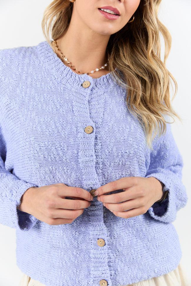 Afternoon Bliss Blue Light Weight Cardigan FINAL SALE Product Image