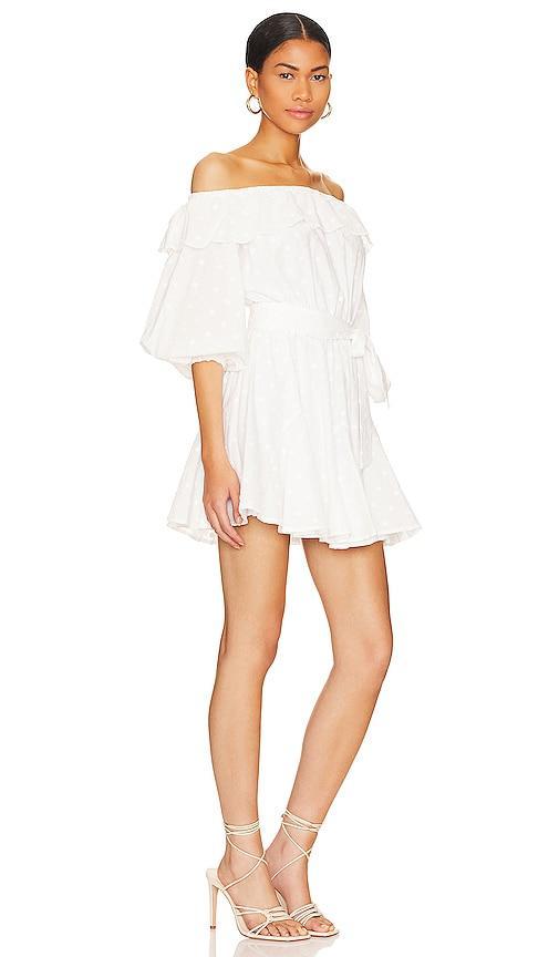 Dakota Mini Dress Tularosa Product Image