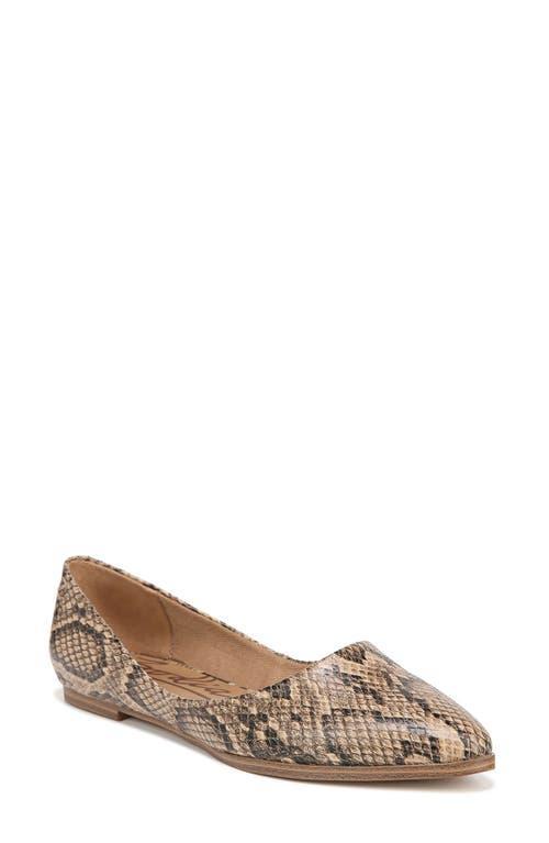 ZODIAC Hill Women's Shoes Product Image