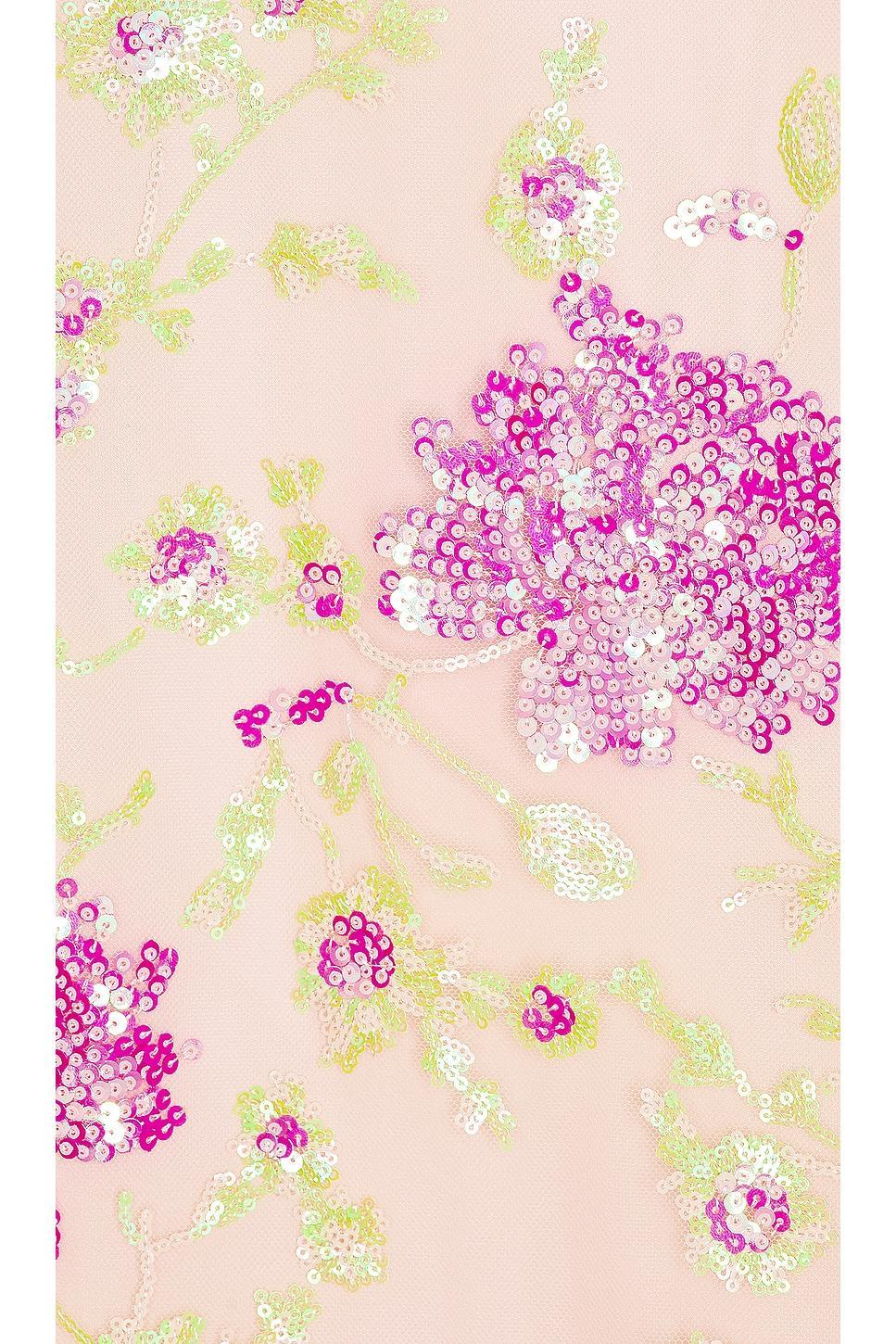 Clementina Dress LIKELY Product Image