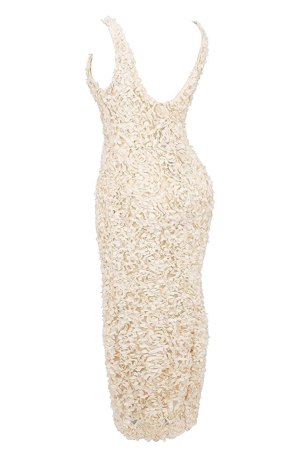 Carena Creme Plunge Floral Appliqué Maxi Dress Product Image