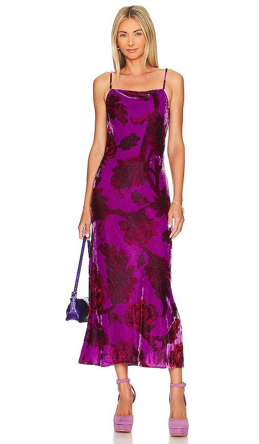 Jemima Dress Rhode Product Image