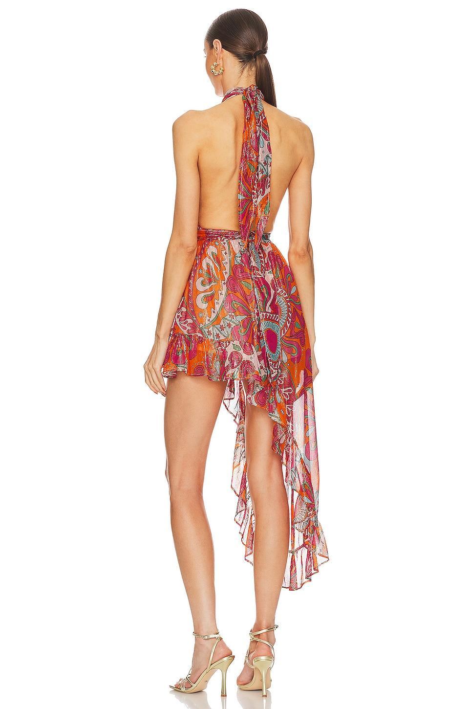 Amina Dress Product Image