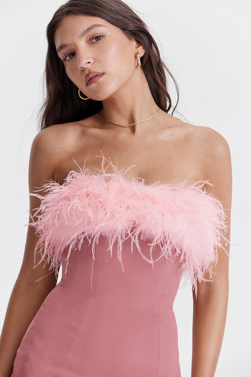 Alexa  warm pink mini dress Product Image