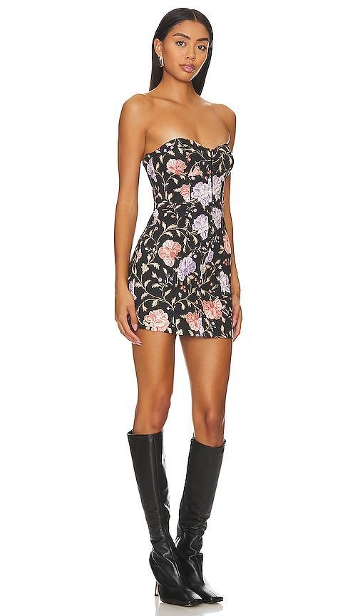 Serena Mini Dress Tularosa Product Image