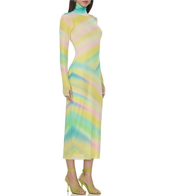 AFRM Shailene Printed Mesh Turtleneck Long Sleeve Midi Dress Product Image