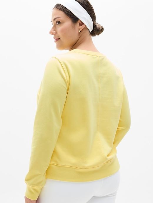 Retroterry Crewneck Sweatshirt Product Image