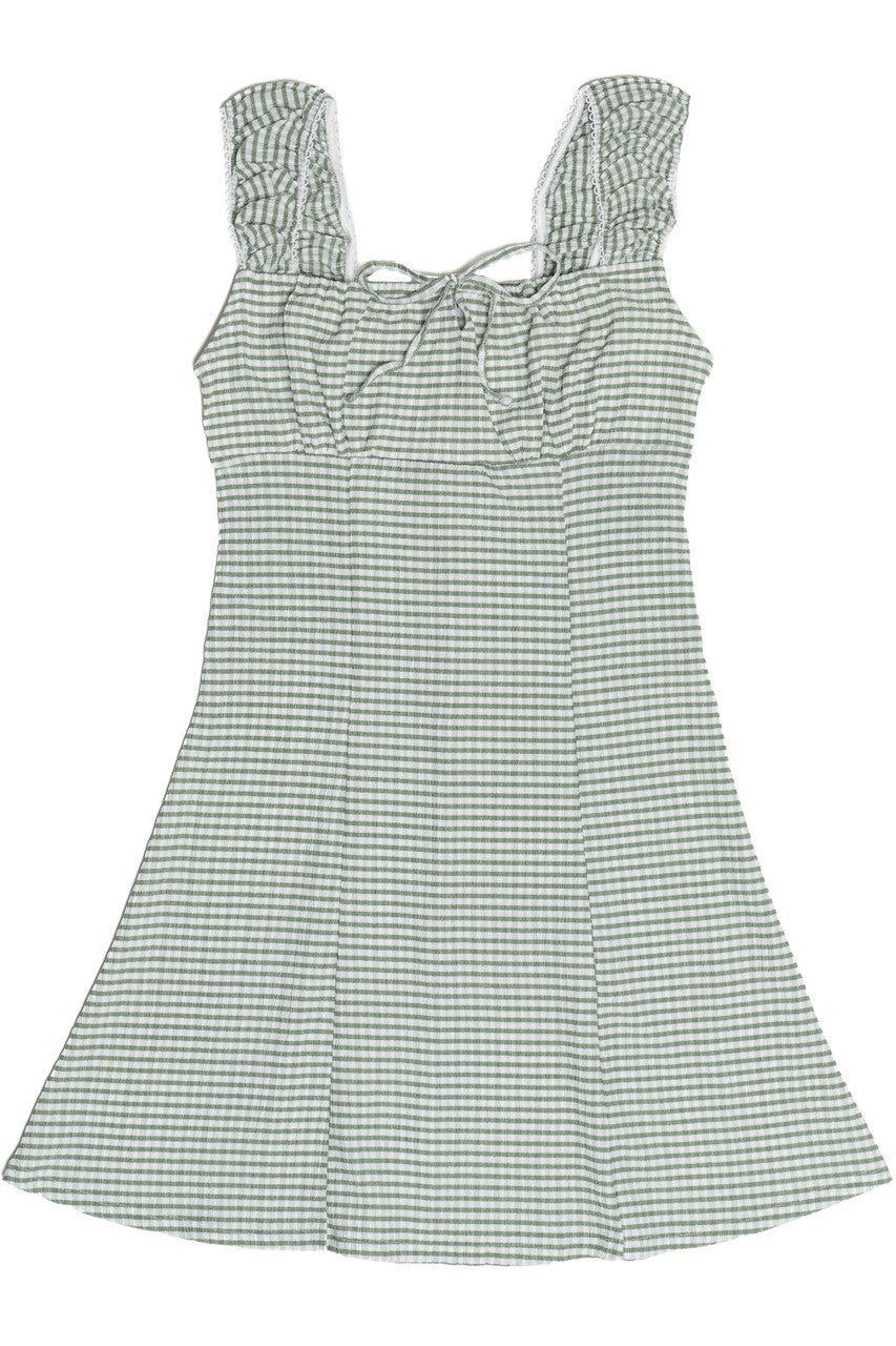 Gingham Fit & Flare Mini Dress Product Image